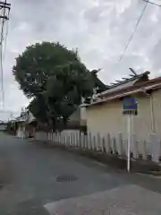 高師原神社の建物その他