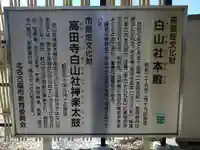 白山神社(高田寺白山社)(愛知県)