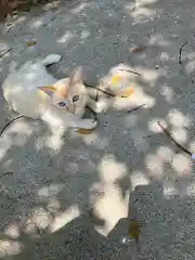 大山祇神社の動物