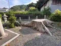 羽賀姫神社(福井県)