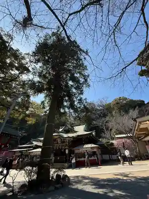 江島神社(神奈川県)