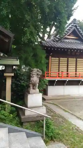 小岩神社の狛犬