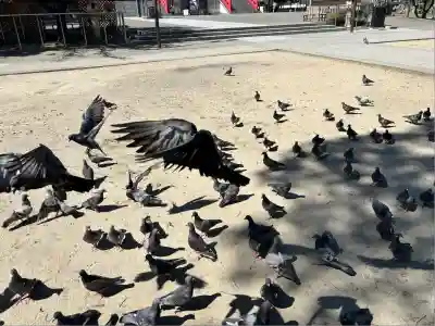 甚目寺(愛知県)