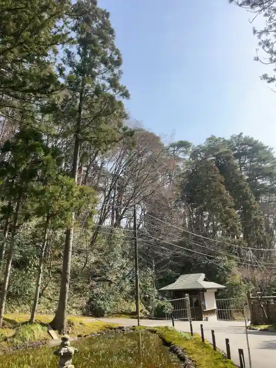 林泉寺(新潟県)
