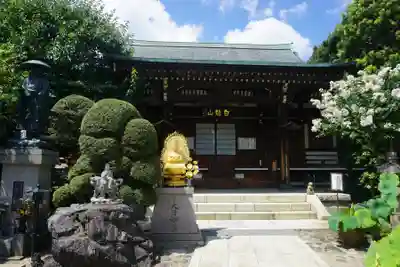 東覚寺の本殿・本堂