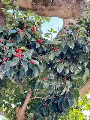 金札宮(京都府)