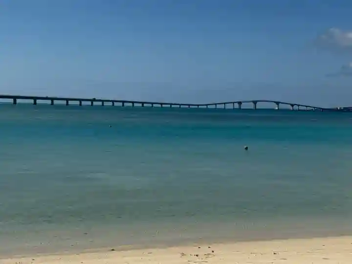 赤名宮の{uncategorized: "未分類", other: "その他", undefined: "問題あり", building: "その他建物", grave: "お墓", sacred_gate: "鳥居", guardian: "狛犬", statue: "像", buddha: "仏像", history: "歴史", nature: "自然", garden: "庭園", animal: "動物", pagoda: "塔", temizu: "手水舎", mountain_gate: "山門・神門", sanctuary: "本殿・本堂", subordinate: "末社・摂社", art: "芸術", scenery: "景色", jizo: "地蔵", ema: "絵馬", goshuin: "御朱印", omikuji: "おみくじ", items: "授与品その他", amulet: "お守り", goshuincho: "御朱印帳", eats: "食事", festival: "お祭り", votive_dance: "神楽", shichigosan: "七五三参", wedding: "結婚式", experience: "体験その他", initially: "初詣", around: "周辺", anti_infection: "感染症対策"}