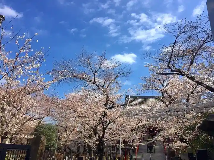 根津神社の庭園