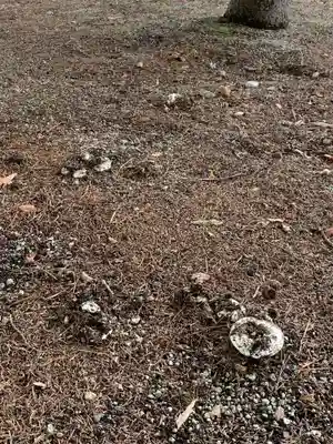 鹿島神社の自然