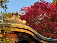 榮攝院(栄摂院)(京都府)