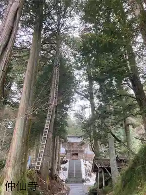 仲仙寺(長野県)