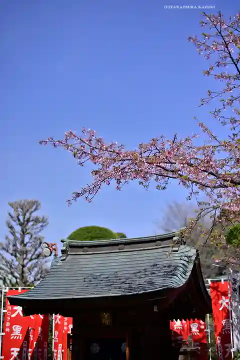 密藏院(埼玉県)