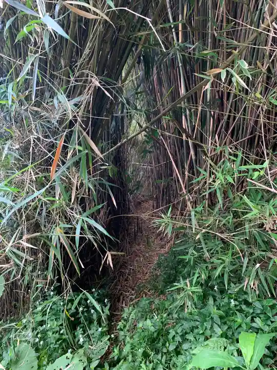 神社(名称不明)の周辺