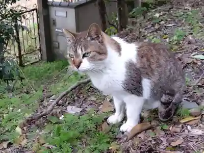 熊野若王子神社(京都府)