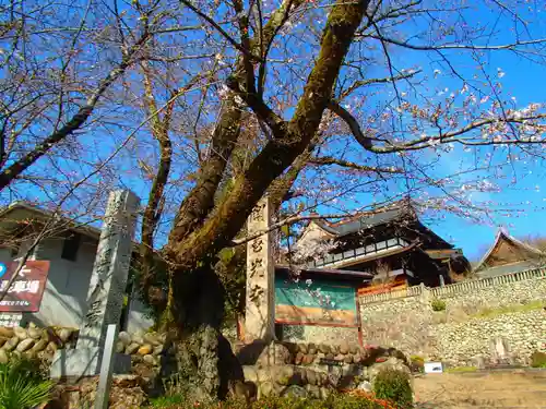 関善光寺の自然