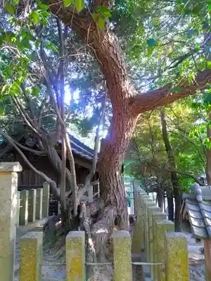 木庭八幡社の自然