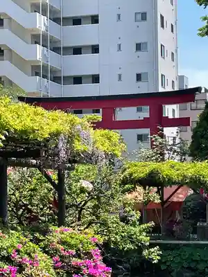 亀戸天神社(東京都)