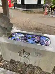 龍城神社の手水