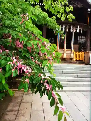 桜神宮(東京都)