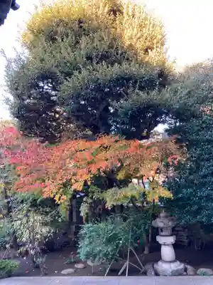 立法寺(東京都)