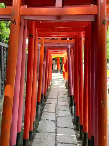 根津神社の鳥居