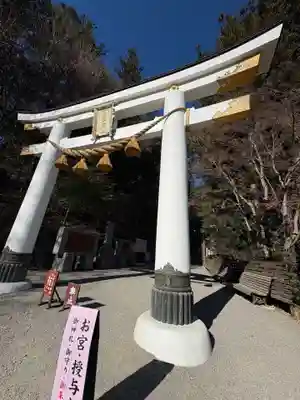 宝登山神社(埼玉県)