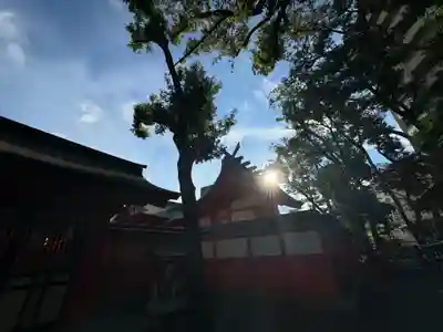 金神社(岐阜県)