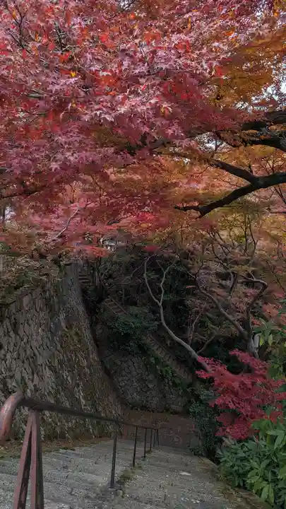 観音寺(山崎聖天)(京都府)