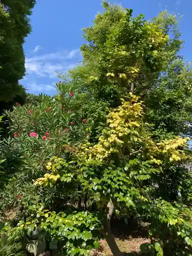 横浜　西方寺の自然