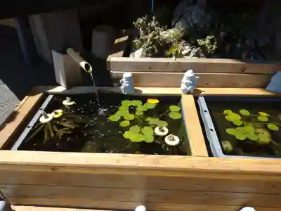 観音寺の手水舎