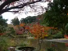 浄瑠璃寺の自然