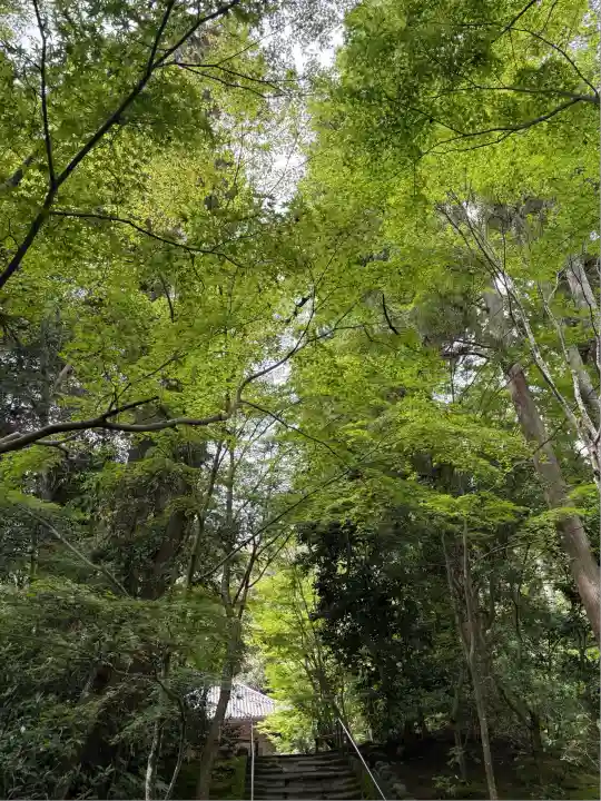 円通院(宮城県)