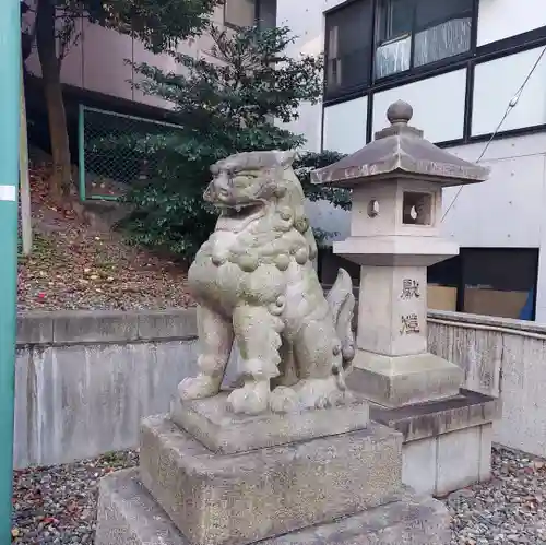 白金氷川神社の狛犬
