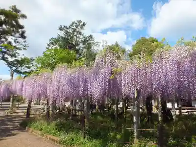 三大神社の自然