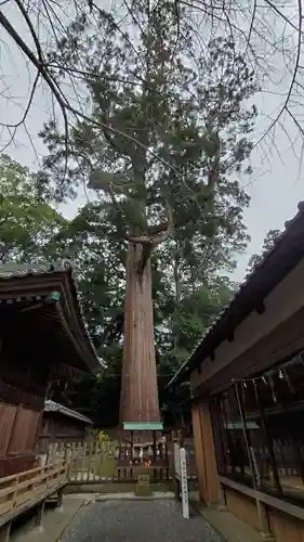 事任八幡宮の自然