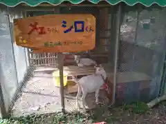 安禅寺の動物