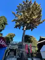 中野沼袋氷川神社(東京都)