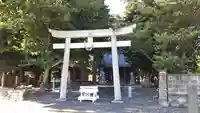 大井神社の鳥居