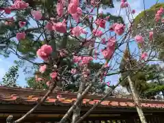 小松天満宮の自然