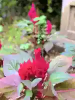 聖徳寺(東京都)