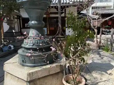 平等寺（因幡堂）の{uncategorized: "未分類", other: "その他", undefined: "問題あり", building: "その他建物", grave: "お墓", sacred_gate: "鳥居", guardian: "狛犬", statue: "像", buddha: "仏像", history: "歴史", nature: "自然", garden: "庭園", animal: "動物", pagoda: "塔", temizu: "手水舎", mountain_gate: "山門・神門", sanctuary: "本殿・本堂", subordinate: "末社・摂社", art: "芸術", scenery: "景色", jizo: "地蔵", ema: "絵馬", goshuin: "御朱印", omikuji: "おみくじ", items: "授与品その他", amulet: "お守り", goshuincho: "御朱印帳", eats: "食事", festival: "お祭り", votive_dance: "神楽", shichigosan: "七五三参", wedding: "結婚式", experience: "体験その他", initially: "初詣", around: "周辺", anti_infection: "感染症対策"}