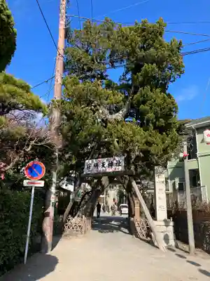 荏柄天神社(神奈川県)