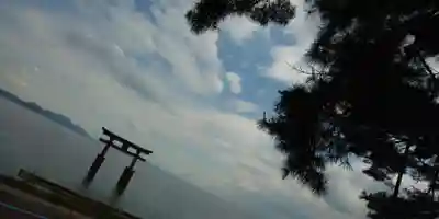 白鬚神社の鳥居