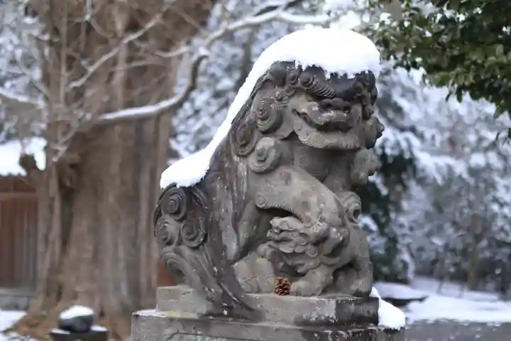 玉敷神社の{uncategorized: "未分類", other: "その他", undefined: "問題あり", building: "その他建物", grave: "お墓", sacred_gate: "鳥居", guardian: "狛犬", statue: "像", buddha: "仏像", history: "歴史", nature: "自然", garden: "庭園", animal: "動物", pagoda: "塔", temizu: "手水舎", mountain_gate: "山門・神門", sanctuary: "本殿・本堂", subordinate: "末社・摂社", art: "芸術", scenery: "景色", jizo: "地蔵", ema: "絵馬", goshuin: "御朱印", omikuji: "おみくじ", items: "授与品その他", amulet: "お守り", goshuincho: "御朱印帳", eats: "食事", festival: "お祭り", votive_dance: "神楽", shichigosan: "七五三参", wedding: "結婚式", experience: "体験その他", initially: "初詣", around: "周辺", anti_infection: "感染症対策"}