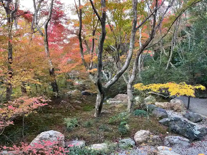 宝筐院(京都府)
