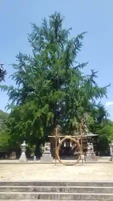 賀羅加波神社(広島県)