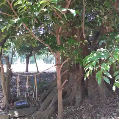 火皇子神社(千葉県)