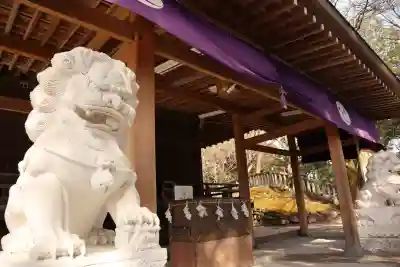前玉神社の{uncategorized: "未分類", other: "その他", undefined: "問題あり", building: "その他建物", grave: "お墓", sacred_gate: "鳥居", guardian: "狛犬", statue: "像", buddha: "仏像", history: "歴史", nature: "自然", garden: "庭園", animal: "動物", pagoda: "塔", temizu: "手水舎", mountain_gate: "山門・神門", sanctuary: "本殿・本堂", subordinate: "末社・摂社", art: "芸術", scenery: "景色", jizo: "地蔵", ema: "絵馬", goshuin: "御朱印", omikuji: "おみくじ", items: "授与品その他", amulet: "お守り", goshuincho: "御朱印帳", eats: "食事", festival: "お祭り", votive_dance: "神楽", shichigosan: "七五三参", wedding: "結婚式", experience: "体験その他", initially: "初詣", around: "周辺", anti_infection: "感染症対策"}