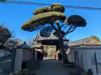 松應寺(東京都)