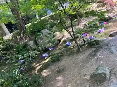 宝満宮竈門神社の{uncategorized: "未分類", other: "その他", undefined: "問題あり", building: "その他建物", grave: "お墓", sacred_gate: "鳥居", guardian: "狛犬", statue: "像", buddha: "仏像", history: "歴史", nature: "自然", garden: "庭園", animal: "動物", pagoda: "塔", temizu: "手水舎", mountain_gate: "山門・神門", sanctuary: "本殿・本堂", subordinate: "末社・摂社", art: "芸術", scenery: "景色", jizo: "地蔵", ema: "絵馬", goshuin: "御朱印", omikuji: "おみくじ", items: "授与品その他", amulet: "お守り", goshuincho: "御朱印帳", eats: "食事", festival: "お祭り", votive_dance: "神楽", shichigosan: "七五三参", wedding: "結婚式", experience: "体験その他", initially: "初詣", around: "周辺", anti_infection: "感染症対策"}